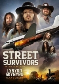 Постер Выжившие: Подлинная история крушения самолёта группы Lynyrd Skynyrd (2020)