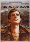Постер Уикенд на берегу океана (1964)