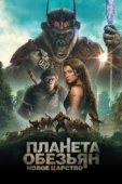 Постер Планета обезьян: Новое царство