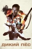 Постер Дикий пёс (2017)