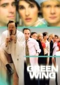 Постер Зеленое крыло (2004)