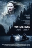 Постер Зимняя кость (2010)