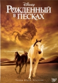 Постер Рожденный в песках (2003)