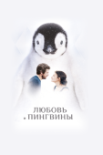 Постер Любовь и пингвины (2016)