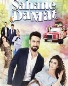Постер Замечательный зять (2016)