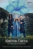 Постер Цветок света (2022)