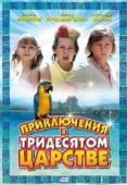 Постер Приключения в Тридесятом царстве (2008)