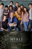 Постер Мерли (2015)