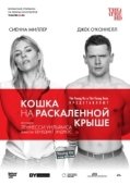Постер Кошка на раскалённой крыше (1989)
