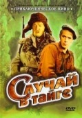 Постер Случай в тайге