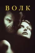 Постер Волк (1994)