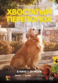 Постер Хвостатый переполох (2024)