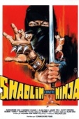 Постер Шаолинь против ниндзя (1983)