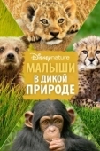 Постер Малыши в дикой природе (2016)