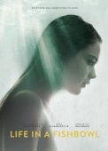 Постер Жизнь на виду (2014)