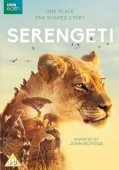 Постер Серенгети (2019)