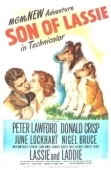Постер Сын Лесси (1945)
