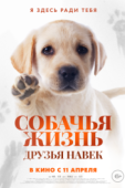 Постер Собачья жизнь: Друзья навек (2023)
