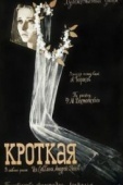 Постер Кроткая (1960)