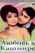 Постер Любовь в Кашмире (1969)