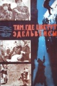 Постер Там, где цветут эдельвейсы (1965)
