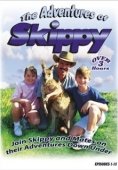 Постер Приключения Скиппи (1992)
