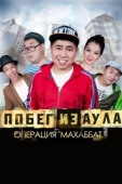 Постер Побег из аула. Операция Махаббат	 (2015)