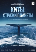 Постер Киты: Стражи планеты (2023)