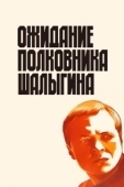 Постер Ожидание полковника Шалыгина (1981)