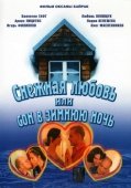 Постер Снежная любовь, или Сон в зимнюю ночь (2003)