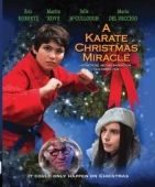 Постер Рождественское чудо в стиле карате (2019)