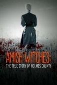 Постер Амишские ведьмы: Правдивая история округа Холмс (2016)