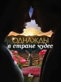 Постер Однажды в стране чудес (2013)