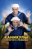 Постер Каникулы строгого режима (2009)