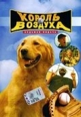Постер Король воздуха: Седьмая подача (2002)