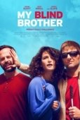 Постер Мой слепой брат (2016)