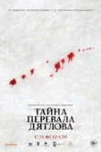 Постер Тайна перевала Дятлова (2013)