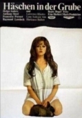 Постер Заяц в норе (1969)