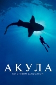 Постер Акула со Стивом Бакшоллом (2021)