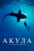 Постер Акула со Стивом Бакшоллом (2021)