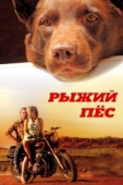 Постер Рыжий пес (2011)