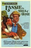 Постер Родные Холмы (1948)
