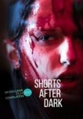 Постер Истории для просмотра в темноте (2019)