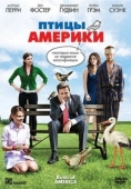 Постер Птицы Америки (2008)