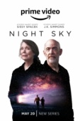 Постер Ночное небо (2022)