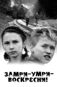 Постер Замри-умри-воскресни!