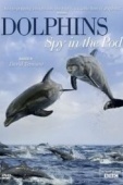 Постер Дельфины скрытой камерой (2014)