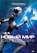Постер Новый мир (2008)