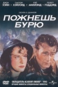 Постер Пожнешь бурю (1942)