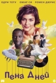 Постер Пена дней (2013)